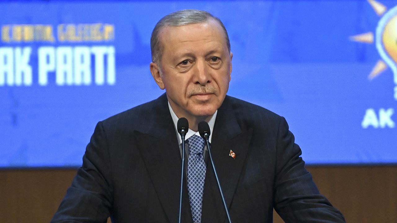erdogan-2267943.jpg