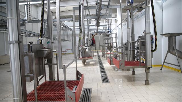 Kesimhanelerde kamera zorunluluğu 1 Ocak 2027'de başlıyor haber görseli