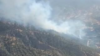Manisa'da orman yangını