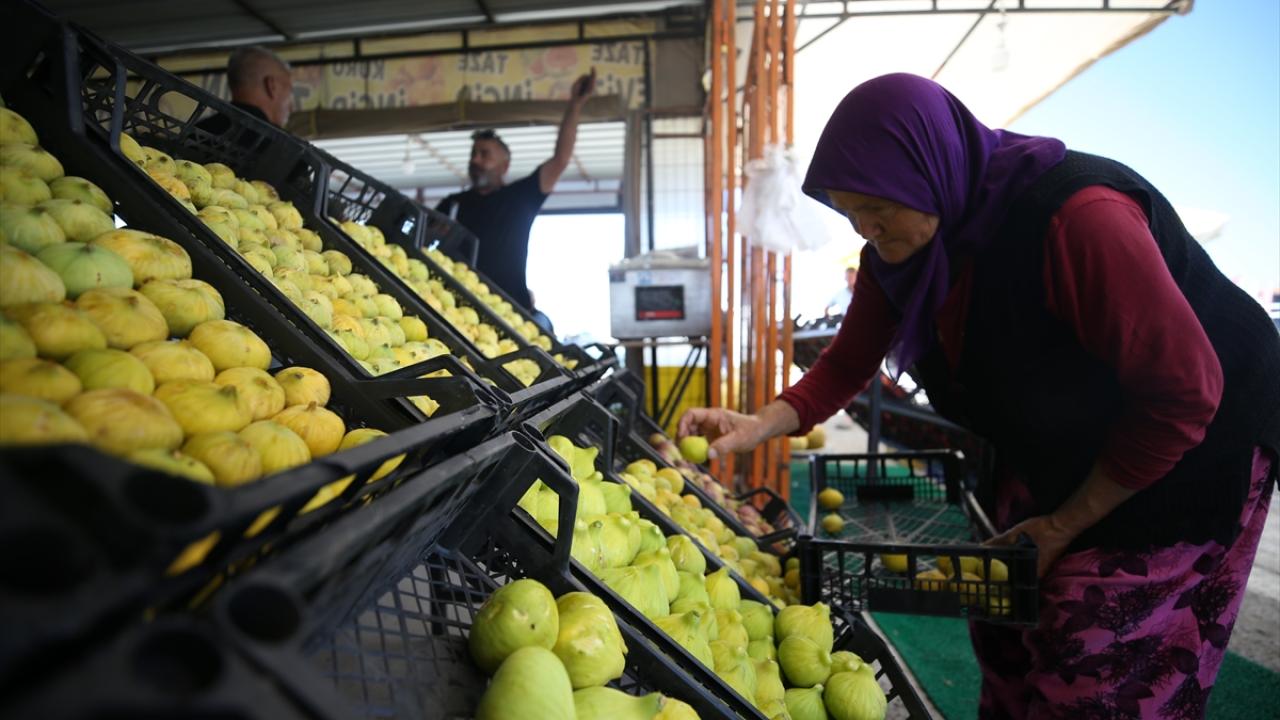 "Kabuğuyla tüketilebiliyor ve içinden bal gibi lezzet akıyor"