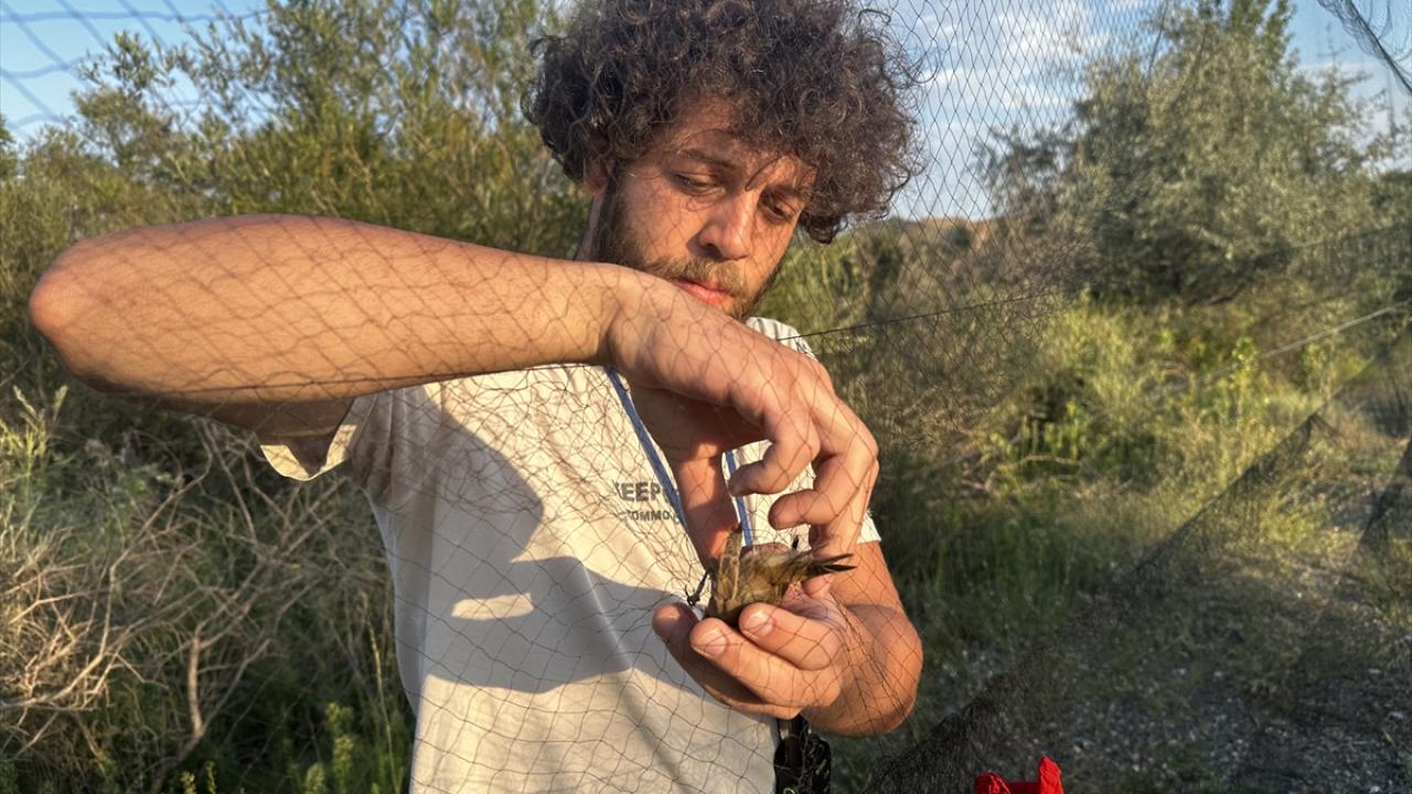 "Sıcak havalara rağmen verimli bir sezon geçiriyoruz"