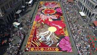 Brüksel'in tarihi meydanına "çiçek halı" döşendi