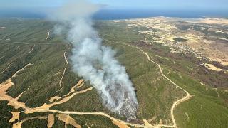 Gelibolu'da orman yangını: 57. Alay Şehitliği ziyarete kapatıldı