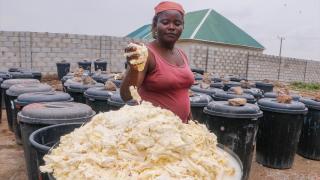 Nijeryalılar buğday yerine manyok bitkisinden yapılan unu kullanıyor