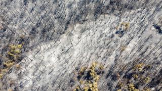 Uşak'ta yangında zarar gören alanlar havadan görüntülendi