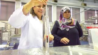 Köy peynirinde "göz kararı" ve "tutam" ölçüsü, bilimsel tarifle arşivleniyor