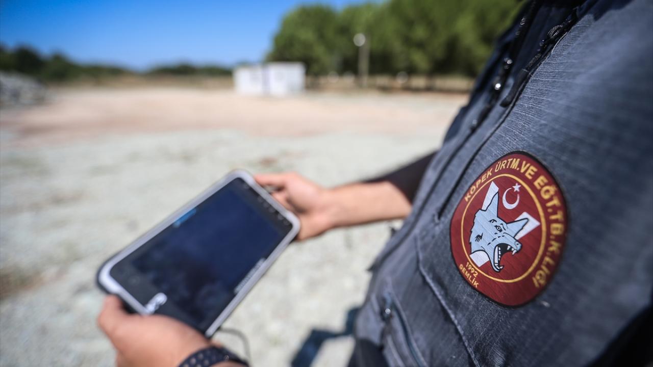 Eğitimli köpek "Parka" cihazla canlı takip edildi