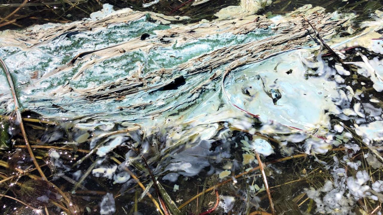 Tuzluluk oranı da artıyor