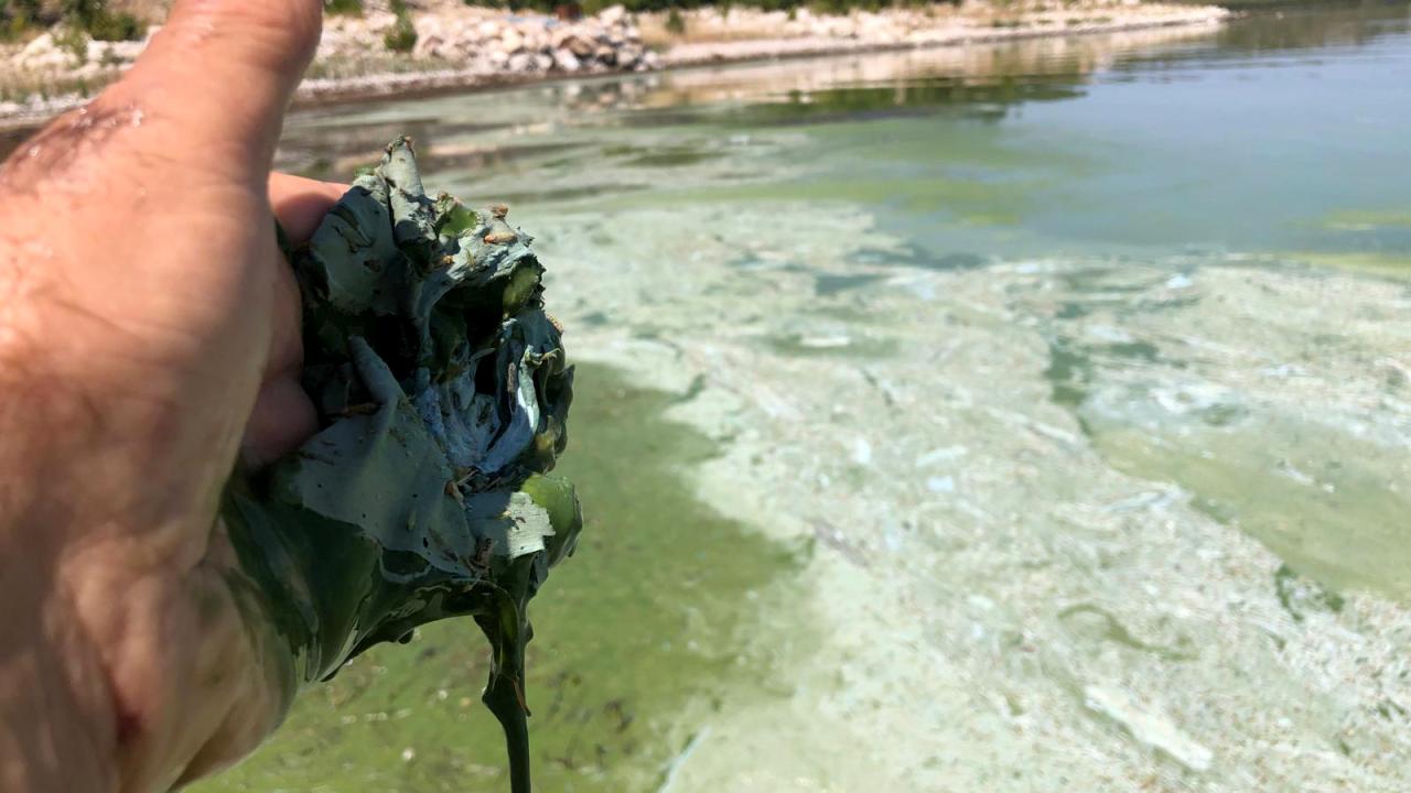 "Gölü havzasıyla birlikte korumalıyız"