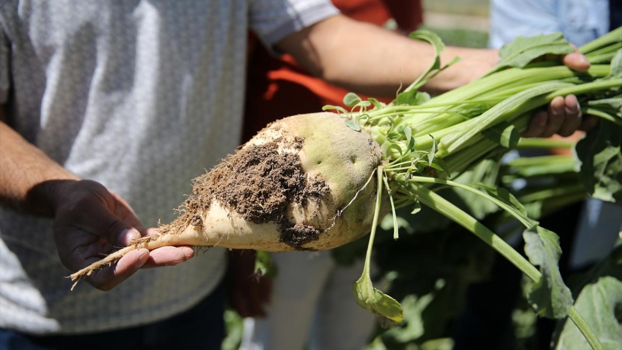 Üretim zorlaşıyor, kaynaklar azalıyor, maliyetler artıyor