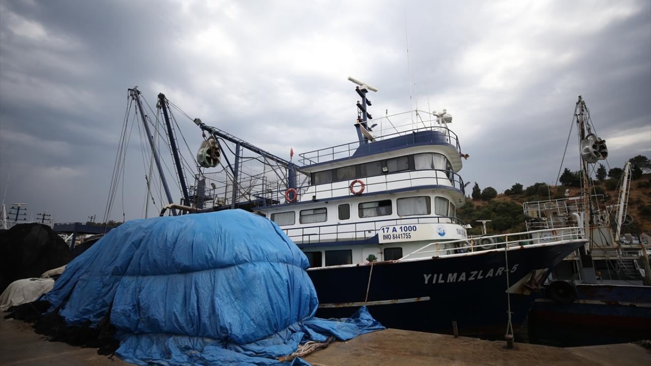 "Kuzey Ege`de, Marmara`da orta boy ve üstü sardalya dolu gözüküyor"