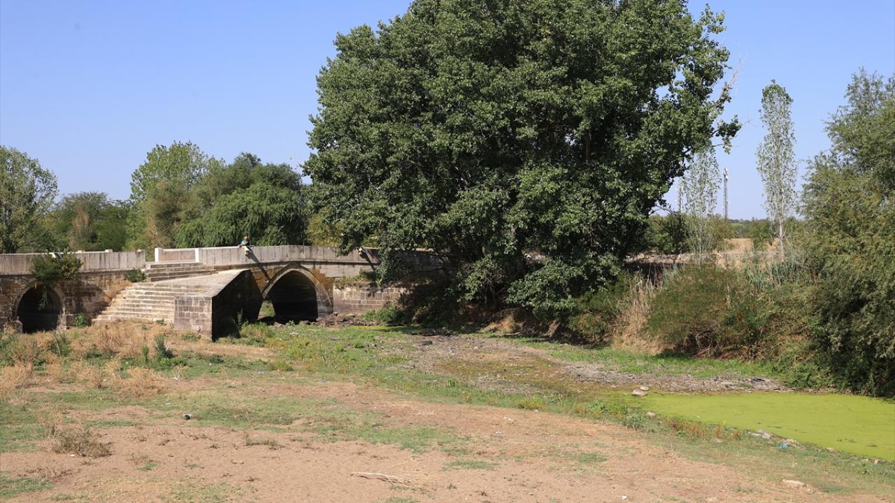 "Bir tane canlı kalmadı nehirde"