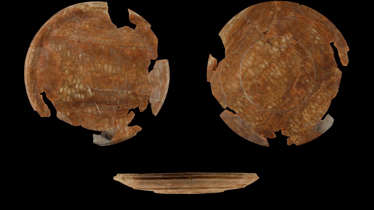 "Yassı Höyük bir idari merkez olabilir"