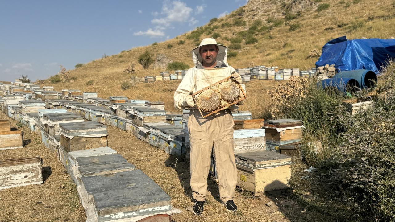 "Burada Pervari balının gerçek değeri ortaya çıkıyor"