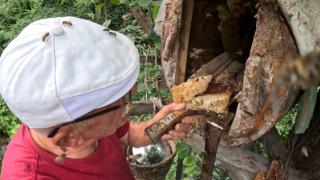 Kara kovan balı için zorlu yolculuk