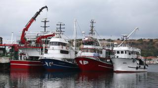 Balıkçılar av sezonunda ağlarını palamut ve lüferle doldurmayı umuyor