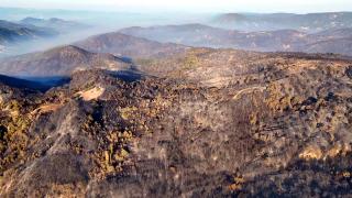 Bolu'daki orman yangınının çıkış anı kameraya yansıdı