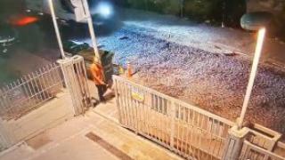 Başıboş köpeklerin saldırısına uğrayan kişi hayatını kaybetti