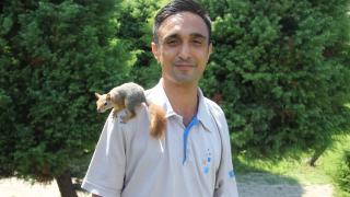 Bahçede bulduğu sincap en yakın arkadaşı oldu