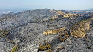 3 ildeki orman yangınlarında zarar gören alanlar havadan görüntülendi