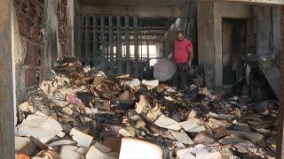 Orman yangınlarının ardından geriye yürek burkan hikayeler kaldı