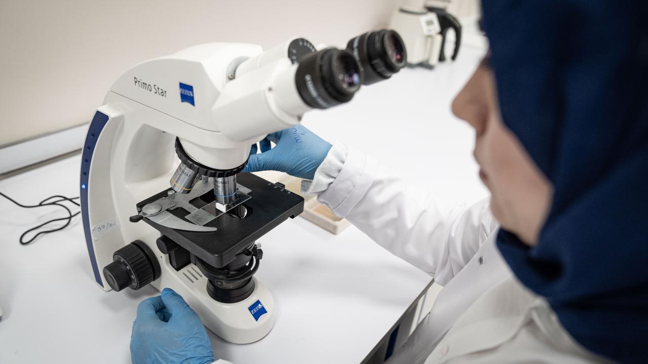 "Daha az suyla daha verimli ürün elde edeceğiz"