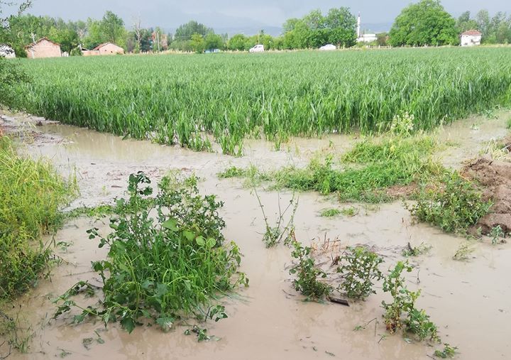 AMASYA / Sarı uyarı