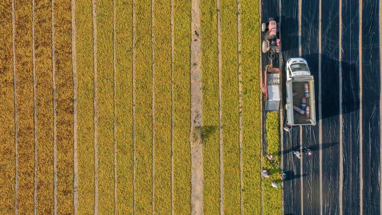 "12 aylık bir emeğin son noktasındayız"