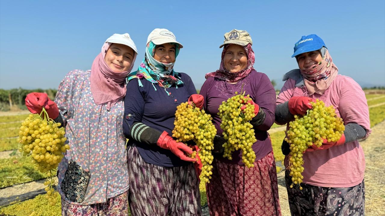 "Sıcak hava nedeniyle meyve erken olgunlaştı"