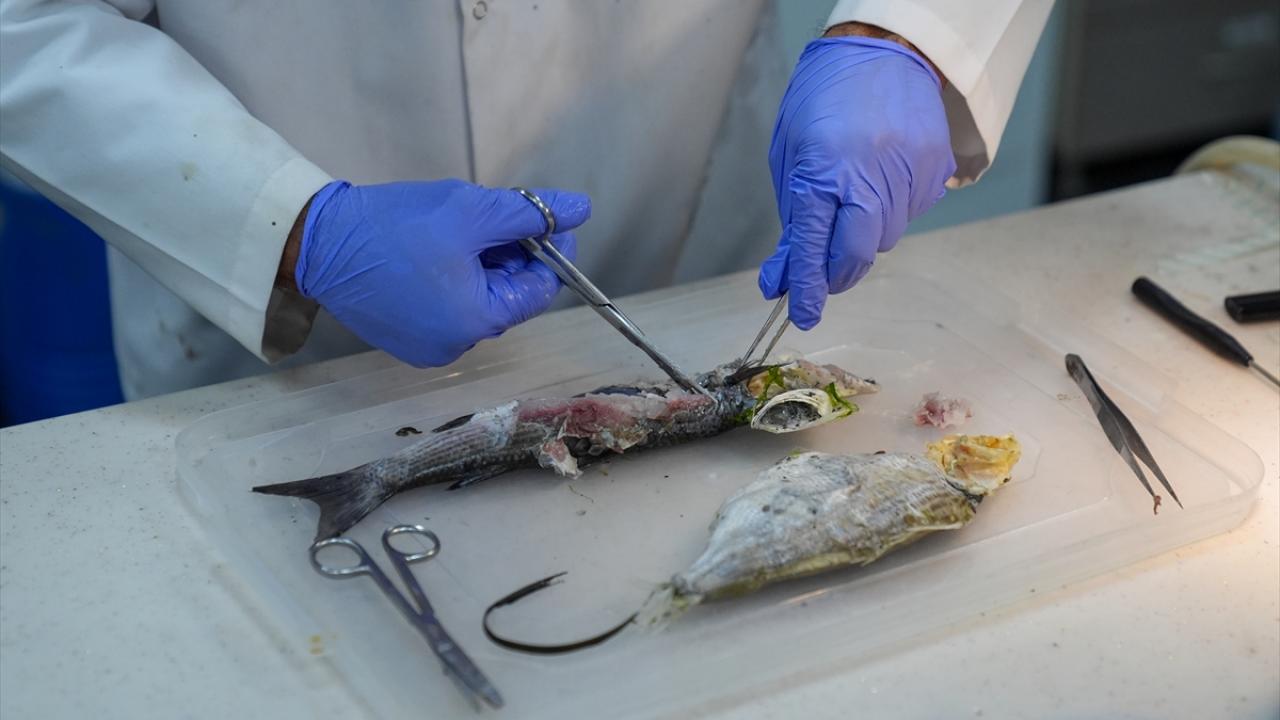 "Tüketilmesi halinde ciddi zehirlenme vakalarıyla karşılaşılabilir"