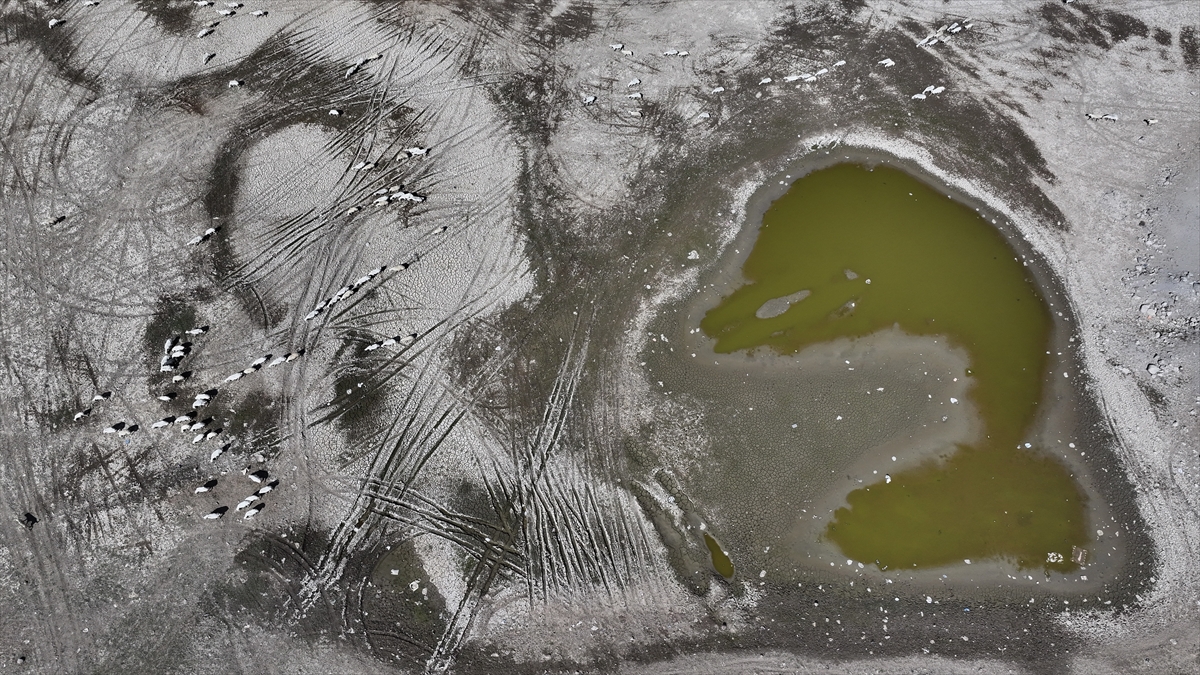 "İlk kez böylesini gördüm"