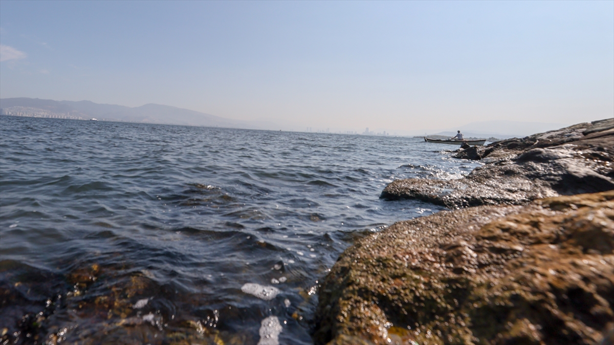 Bilgi kirliliğiyle de mücadele