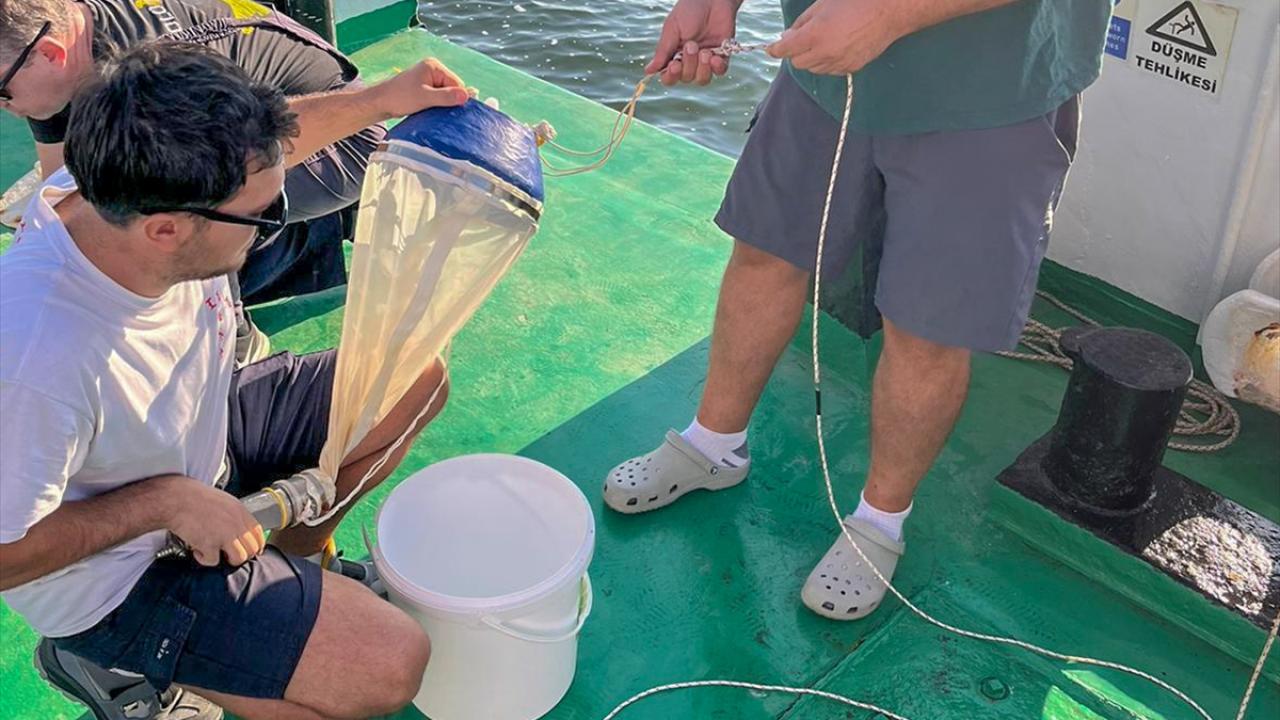 "Sirkülasyonun hızlanmasıyla dağılacağını düşünüyoruz"