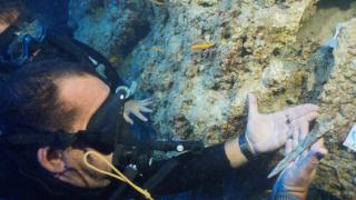 Su altı kazısında 3 bin 600 yıllık tunç hançer bulundu