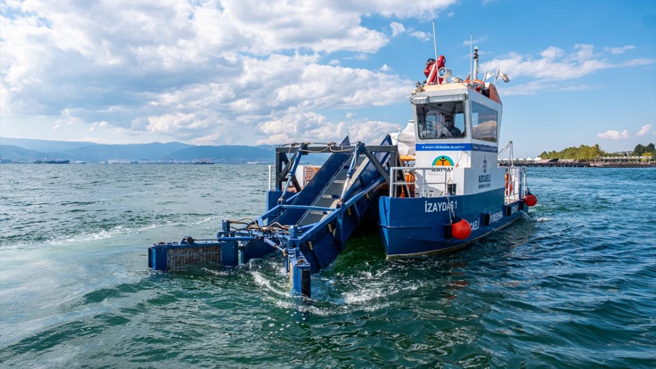 Körfez, atık tutucular, deniz süpürgeleri ve amfibi araçlarla çöpten arındırılıyor