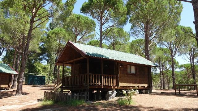 210 milyon dolandıran bungalov çetesine operasyon: 9 tutuklama