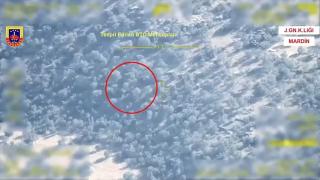 Mardin kırsalında 2 terörist etkisiz hale getirildi