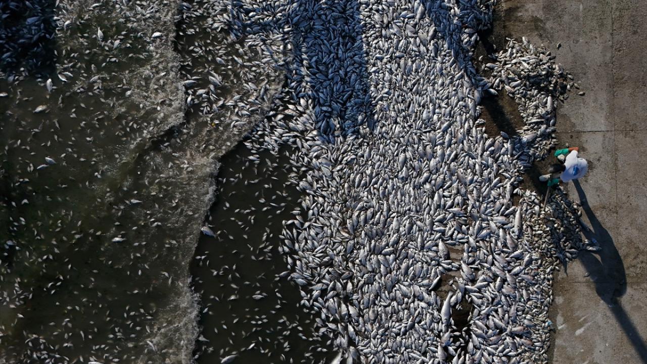 Kirli sular İzmir Körfezi`ne deşarj edilmiş