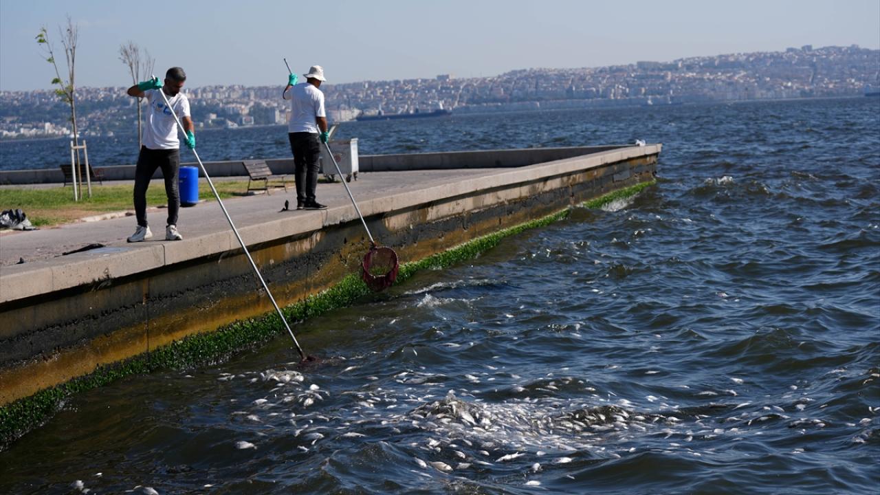 Ceza kesildi, suç duyurusunda bulunuldu