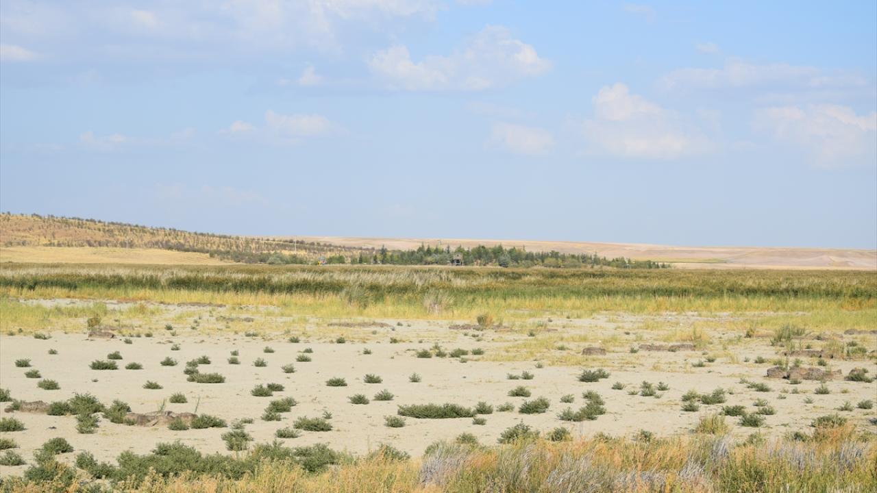 "Tabiat canlılığı kalmadı"