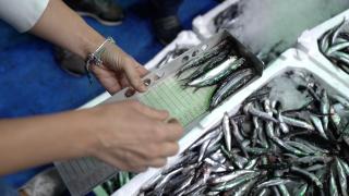 Balık sezonu açıldı denetimler arttı