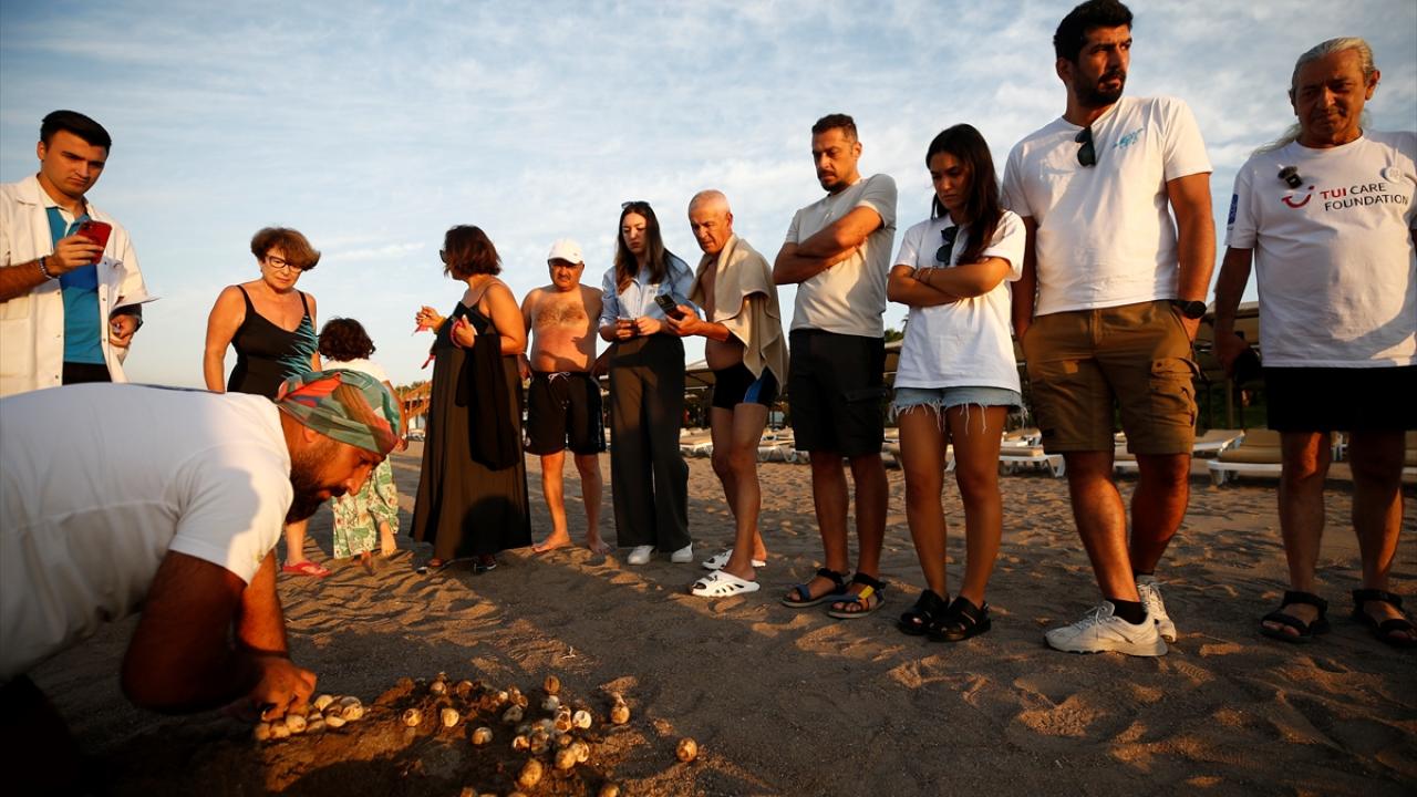 "Caretta carettalara gösterilen özenin arttığını görüyoruz"