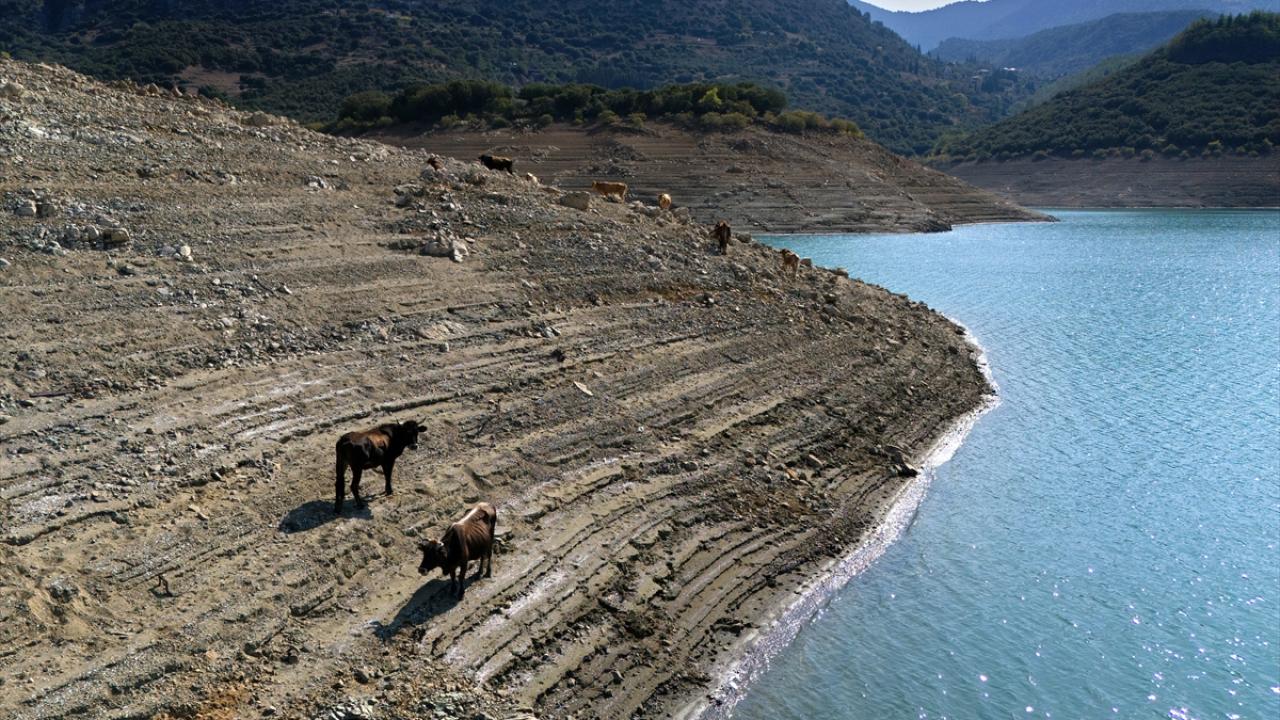 "Yüksek sıcaklıklar, sele ve kuraklığa neden oluyor"