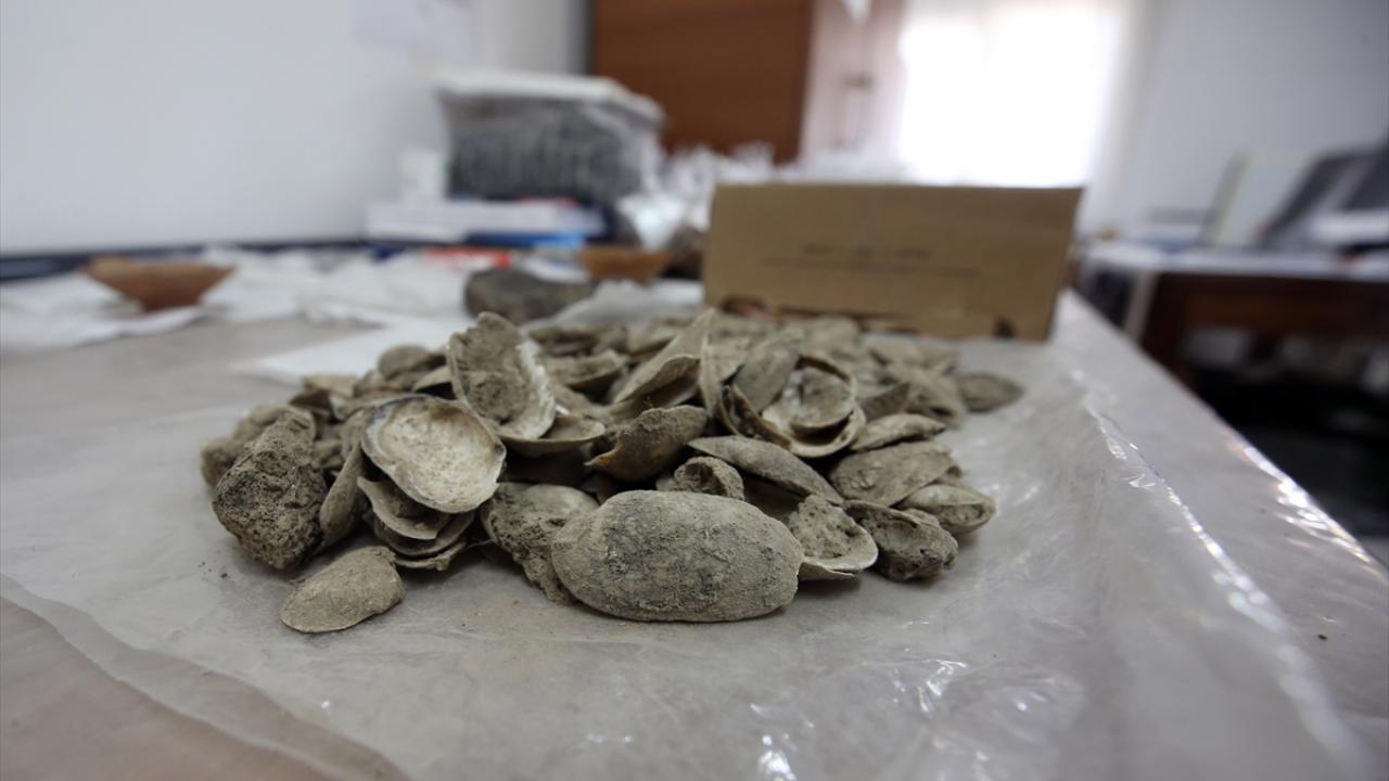 İğneyle kuyu kazar gibi