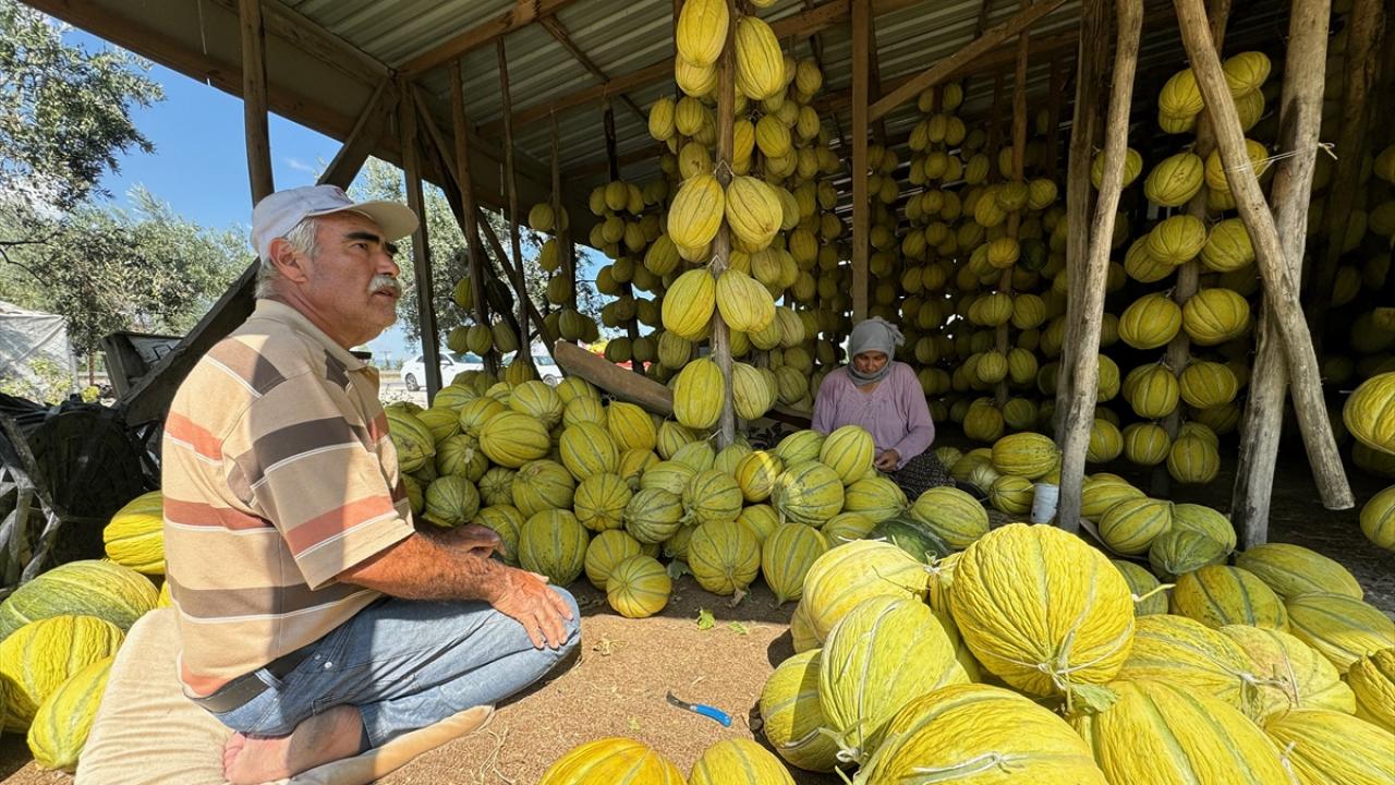 "Bebek gibi taşınıyor"