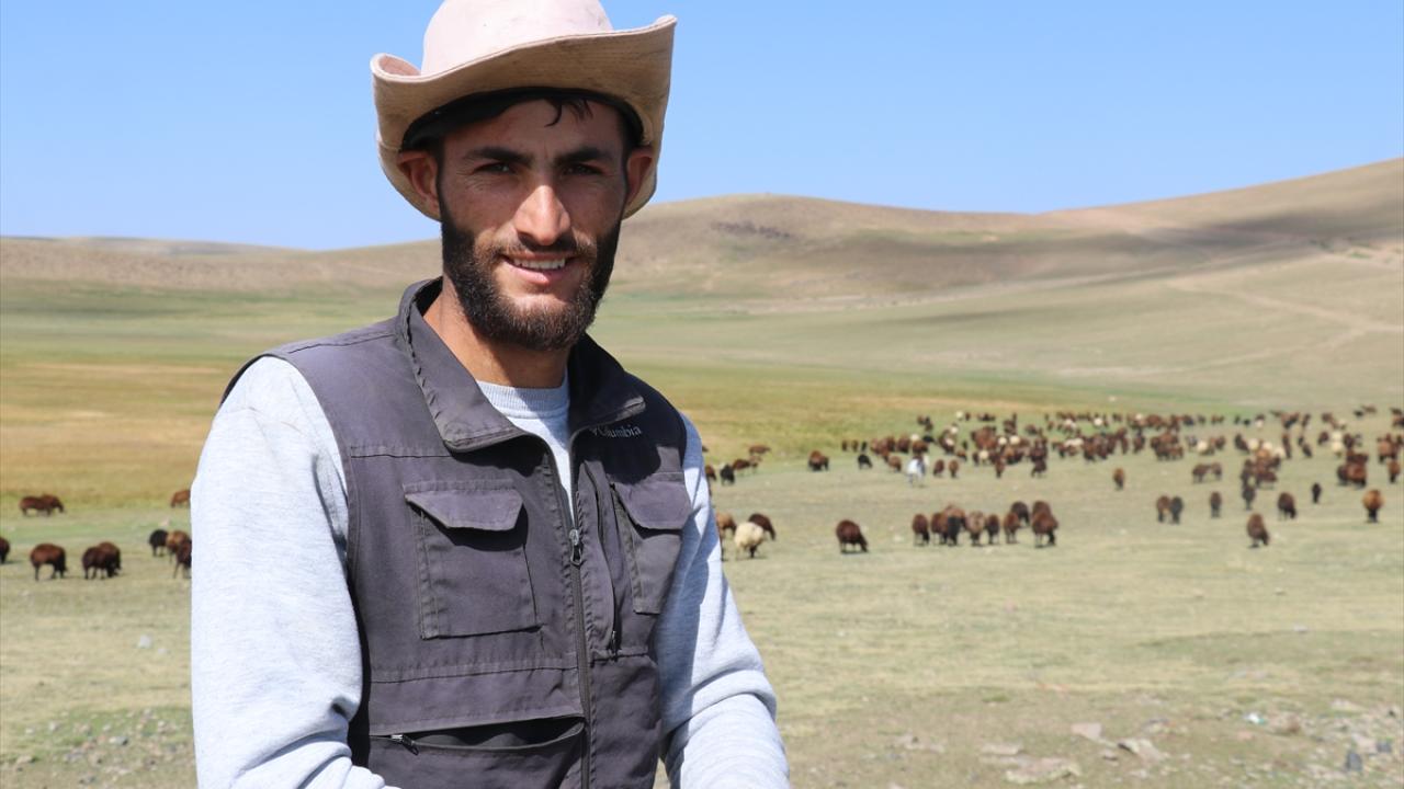 Yayla çobanlara kaldı