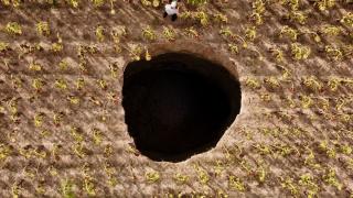 Eskişehir'de ayçiçeği tarlasında 20 metre obruk oluştu