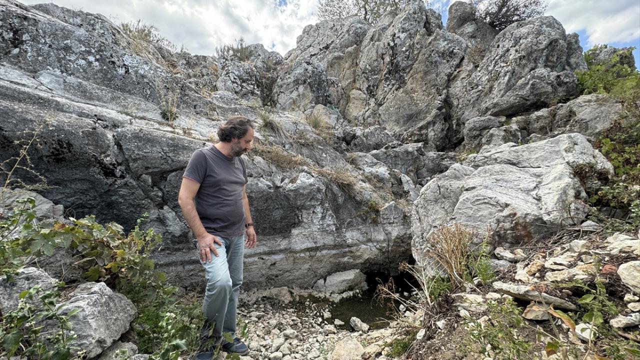 Sarayın iki pınarı da kurudu