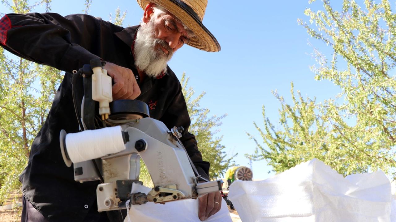 "Hasadımız 45 gün sürüyor"