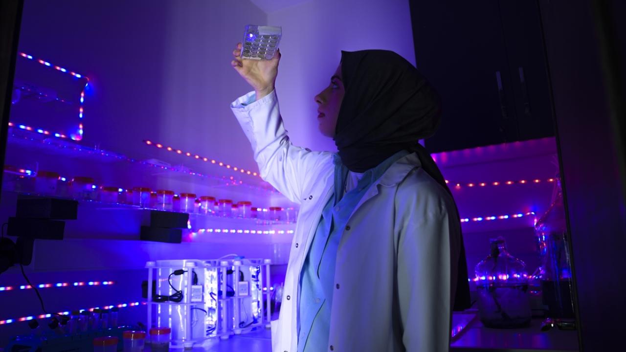 "Sürdürebilir olmasını hedefliyoruz"